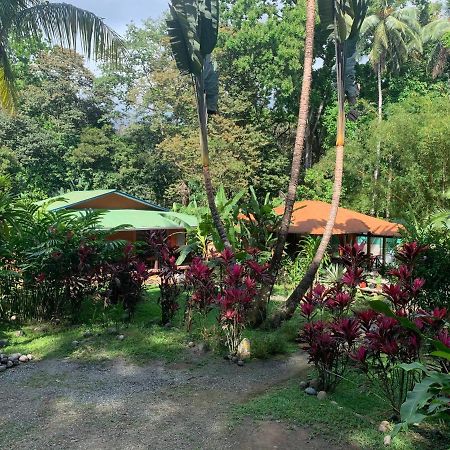 Cabinas Coco Lindo Ojochal Luaran gambar