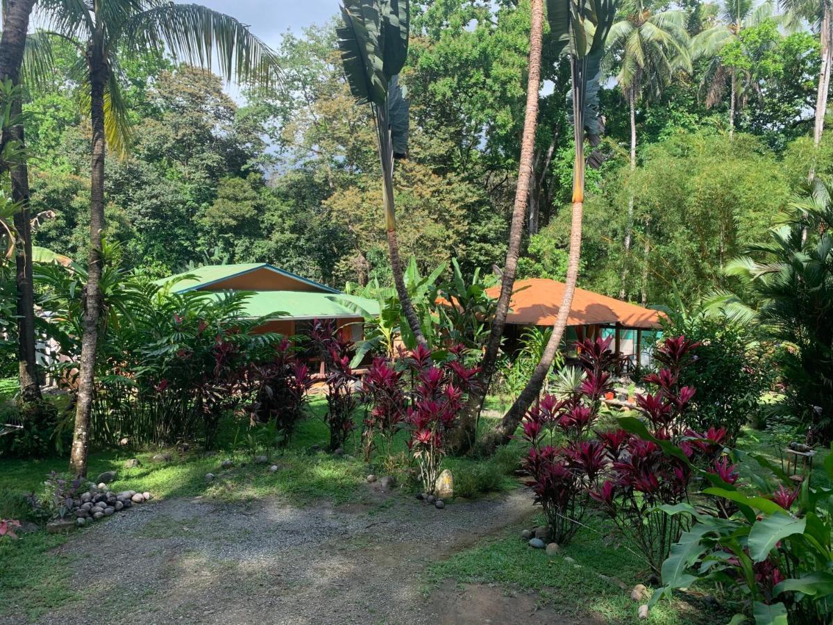 Cabinas Coco Lindo Ojochal Luaran gambar
